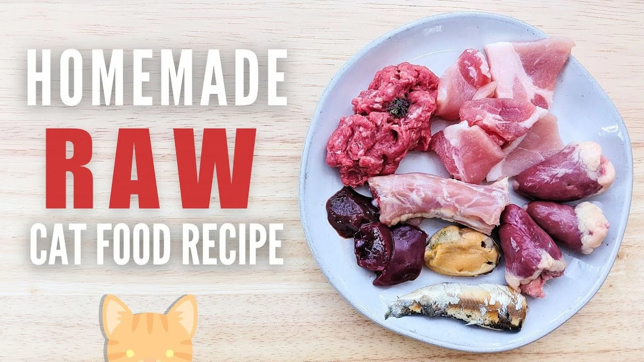 Homemade raw cat food recipe